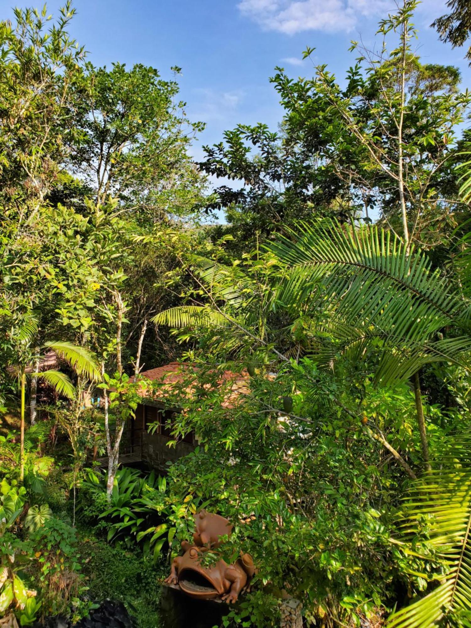 Villa Ritmo Del Rio San Rafael  Exterior foto